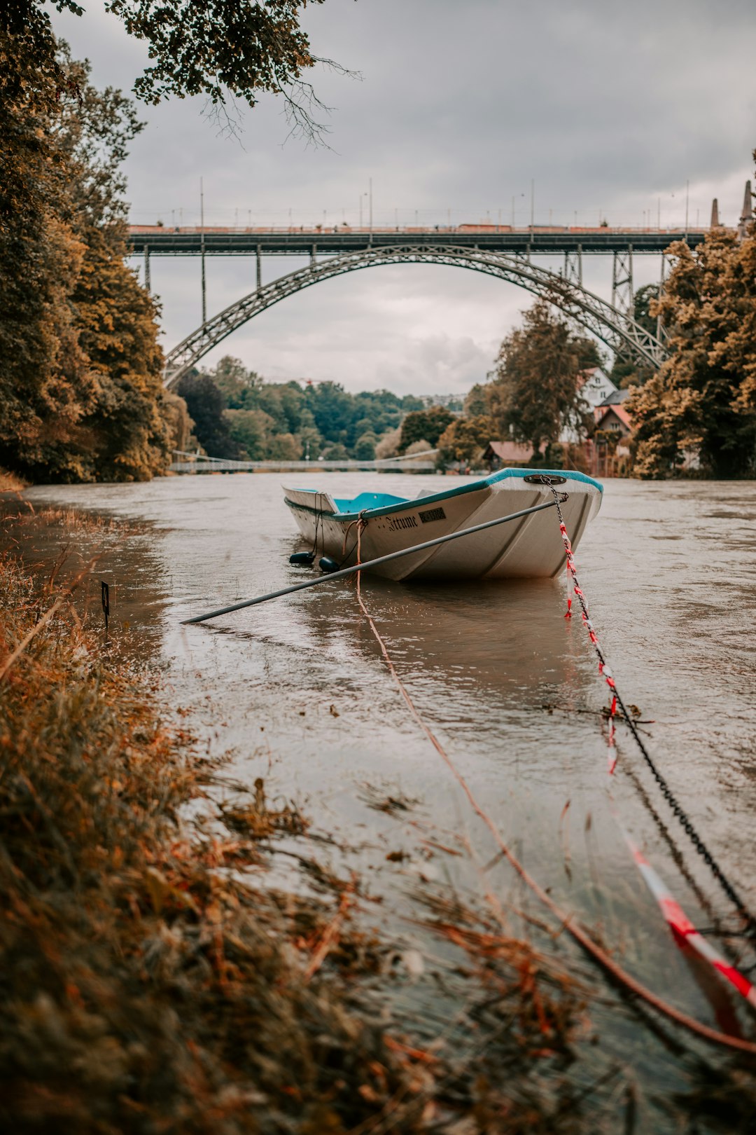 white and blue boat on river during daytime