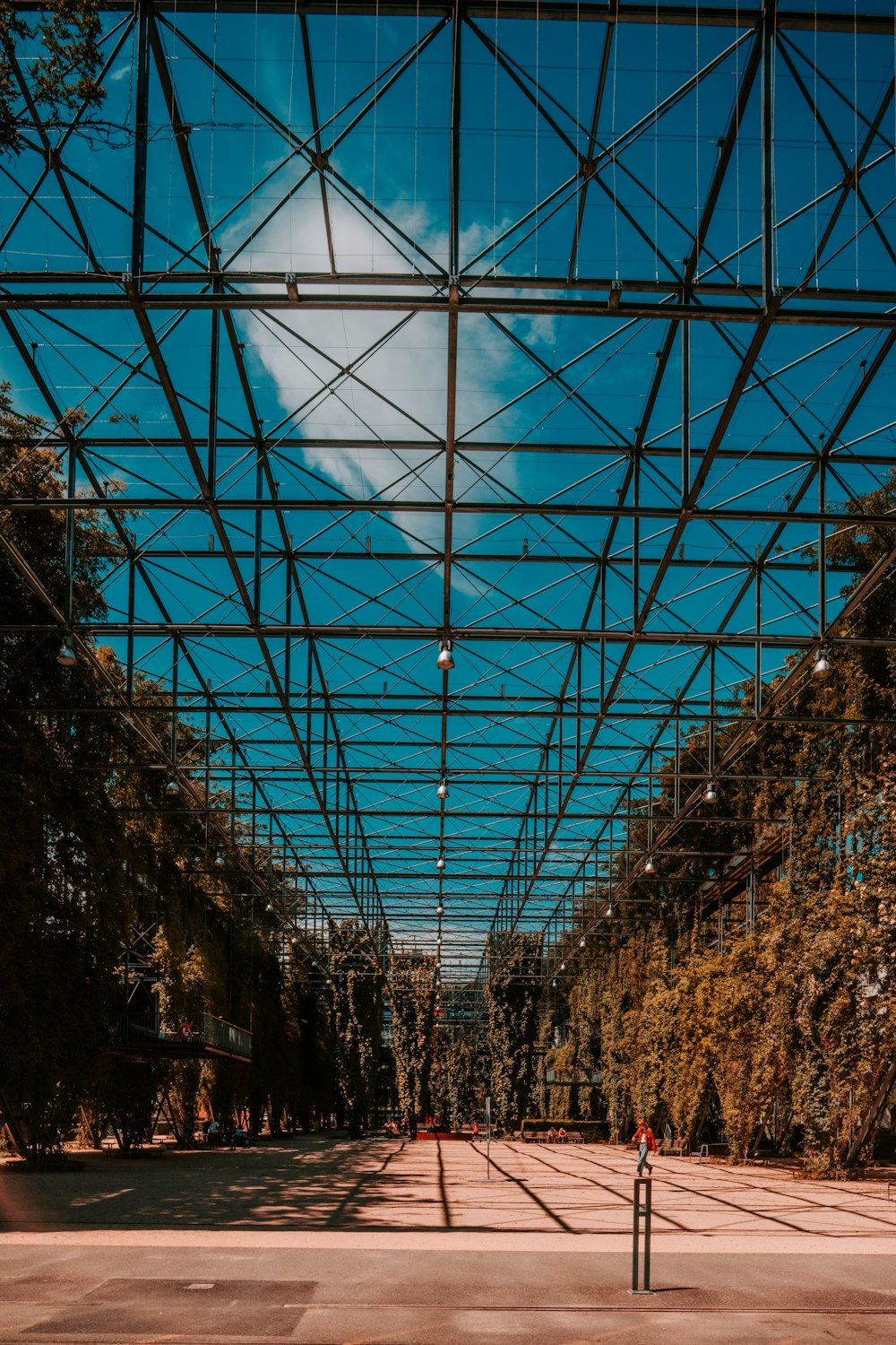 brown trees under blue sky during daytime