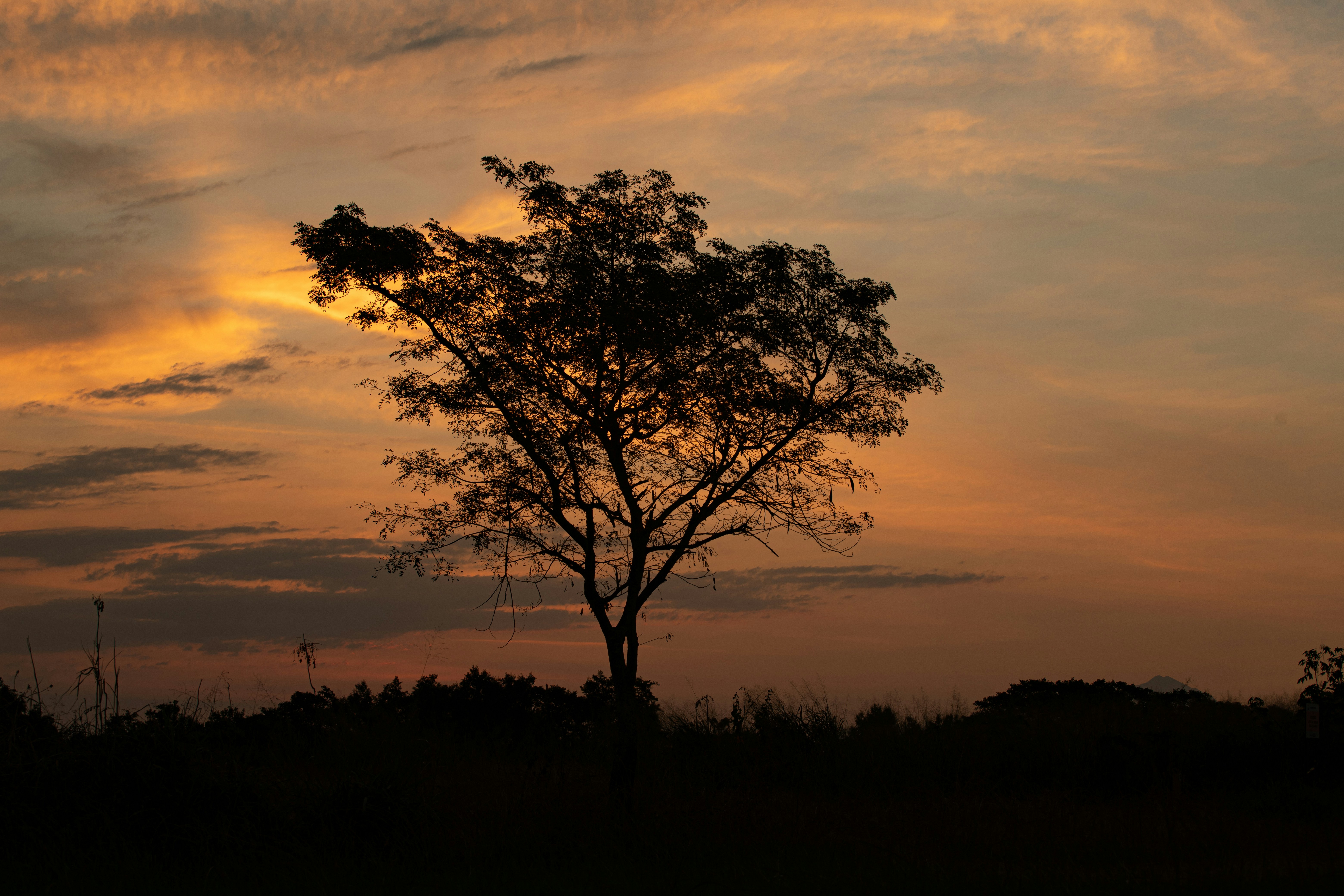 Photo by ferreiramarcos___