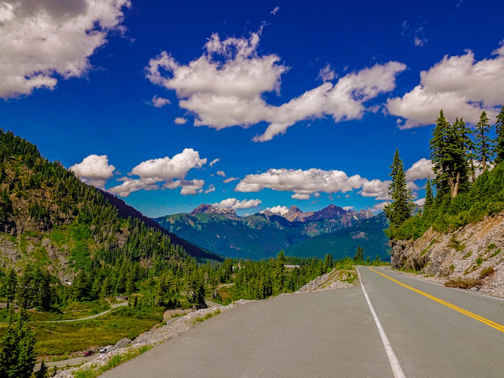 gray concrete road between green grass field and green trees under blue sky and white clouds