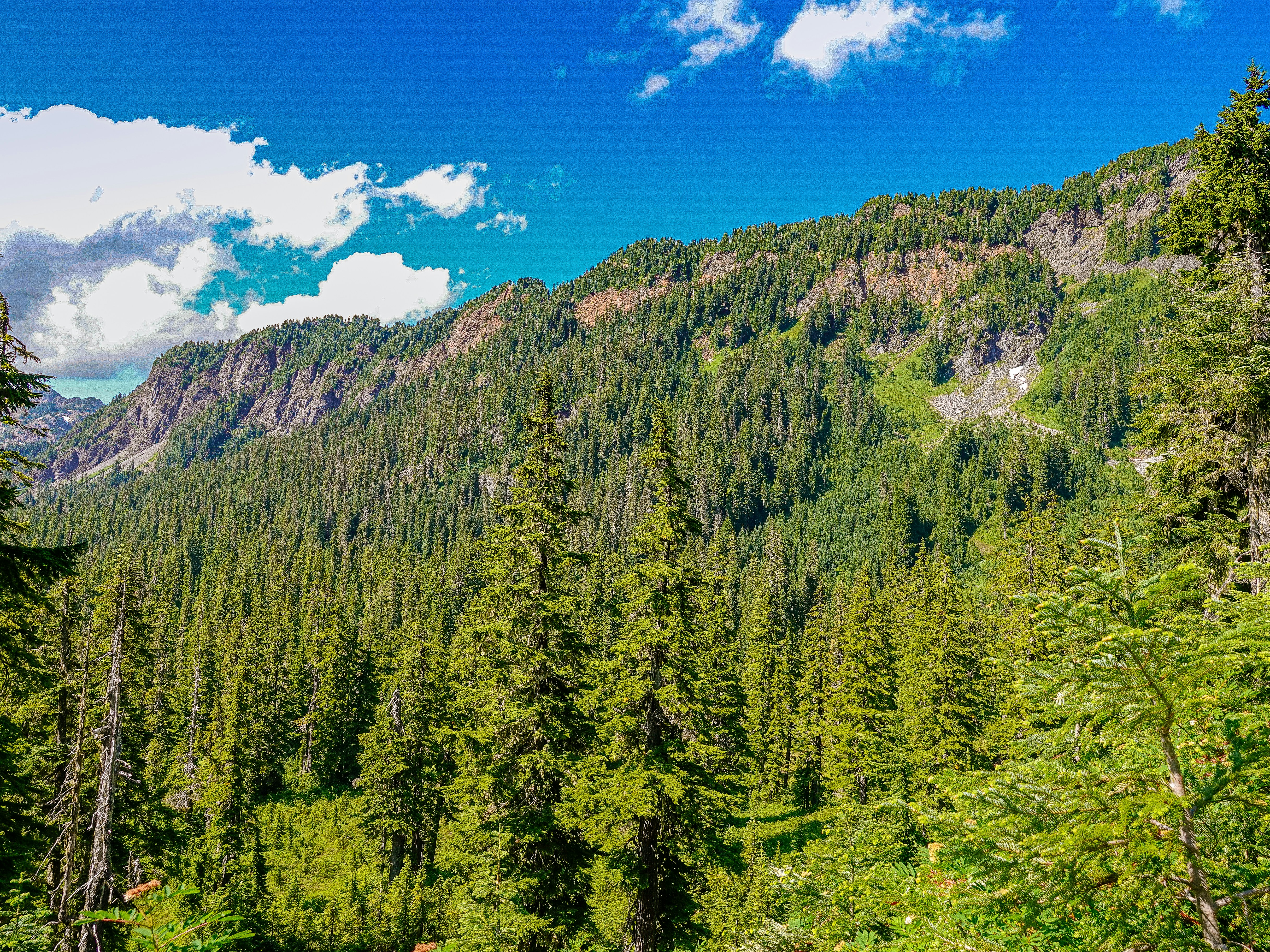 Photo by pavlpolo_official