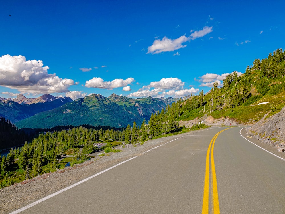 gray concrete road between green trees under blue sky during daytime