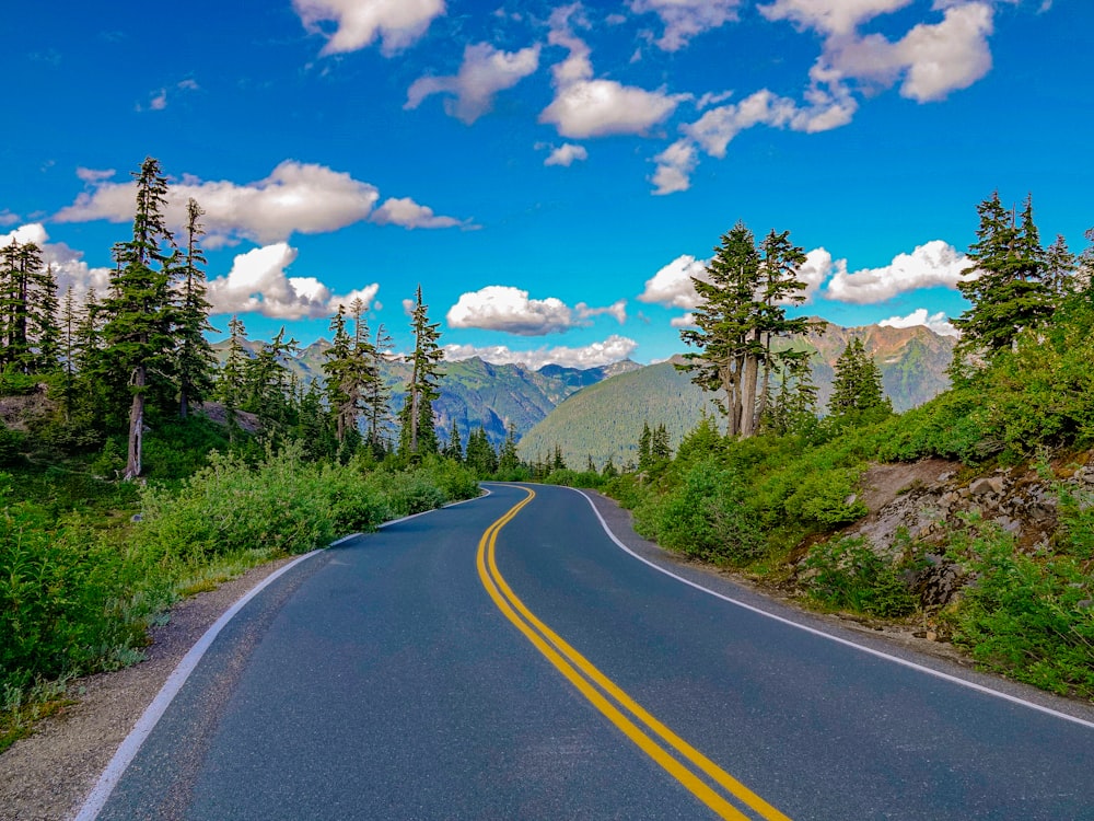 gray concrete road between green trees under blue sky during daytime