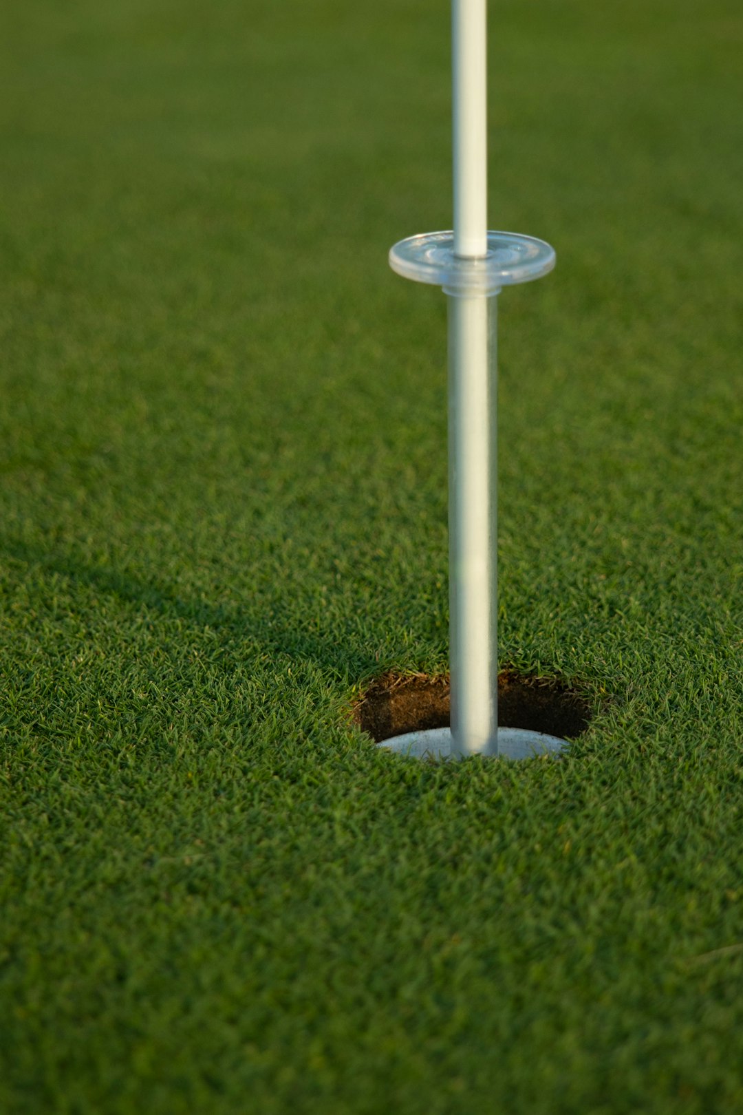 white plastic stick on green grass