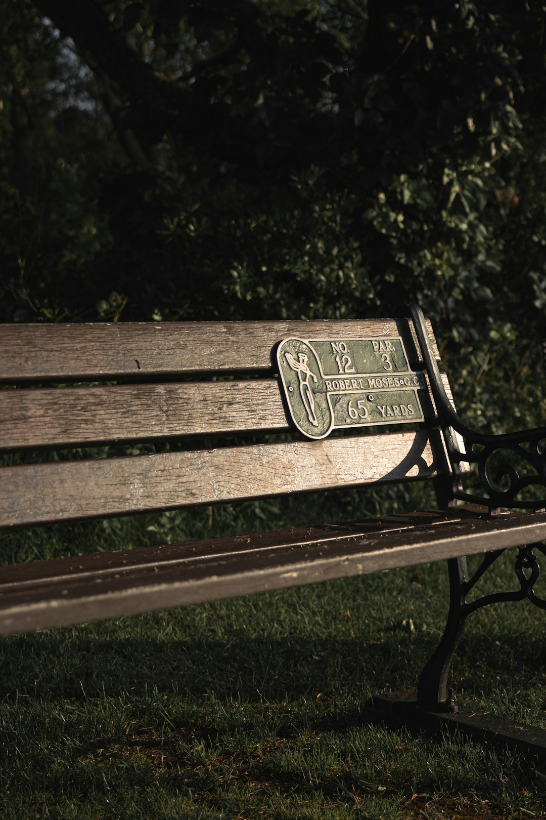 brown wooden bench near green trees during daytime