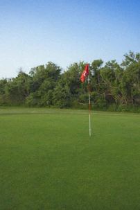flag of us a on green grass field