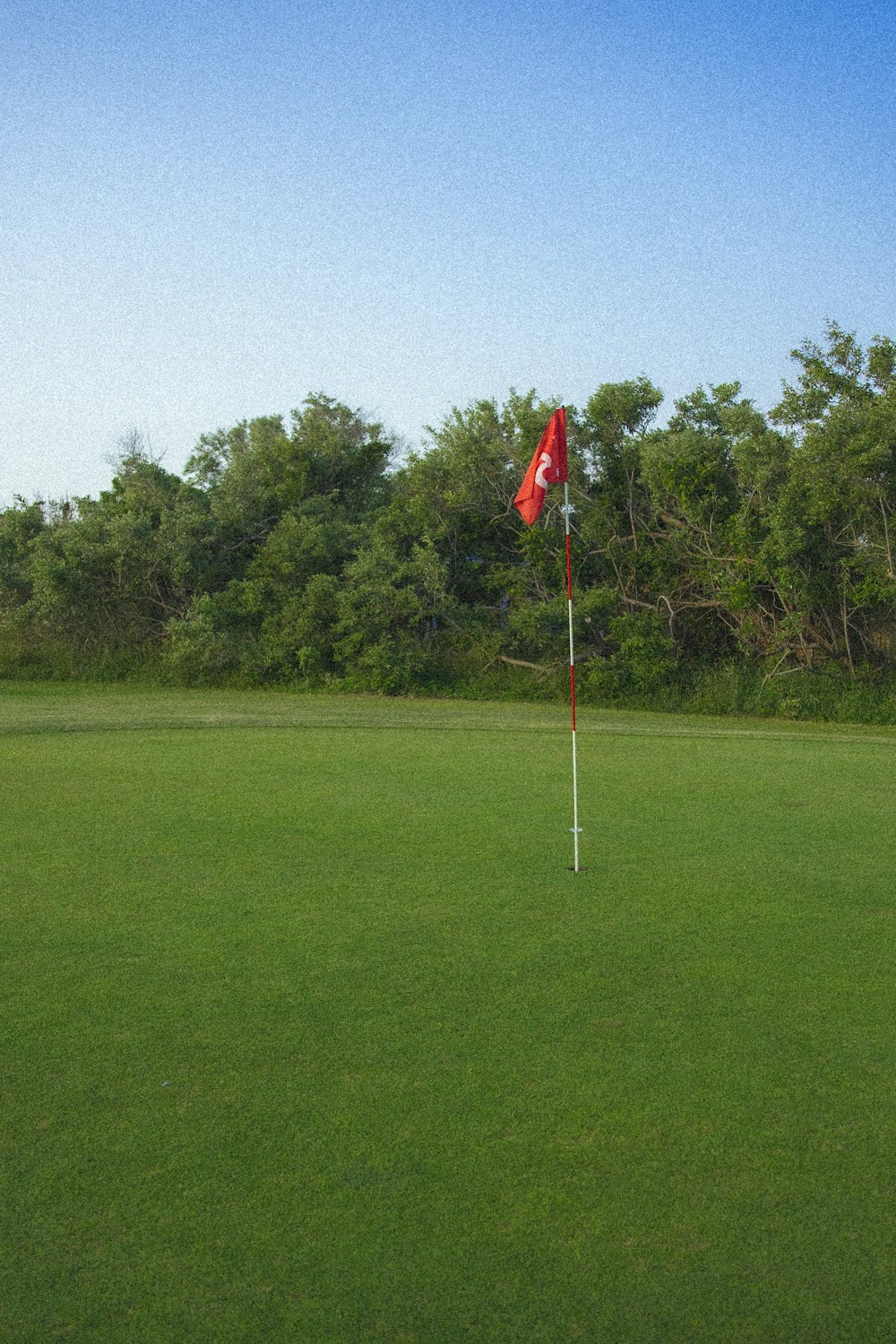 flag of us a on green grass field