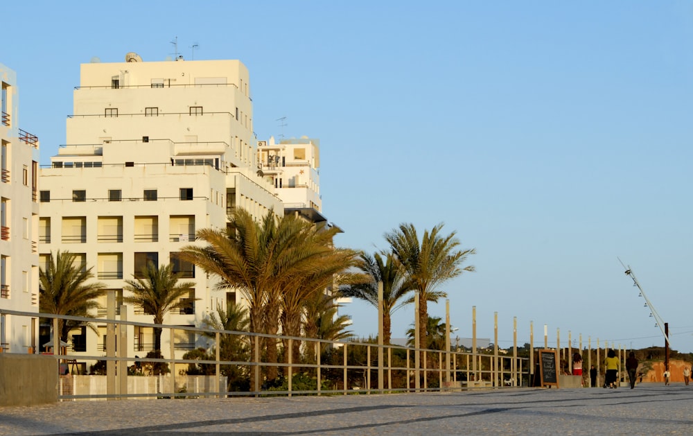 palmeiras perto do edifício de concreto branco durante o dia