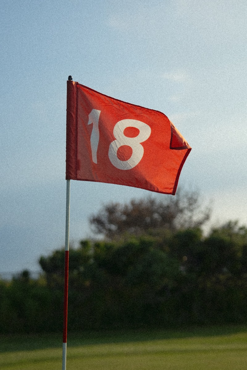 Red-and-white flag on a pole