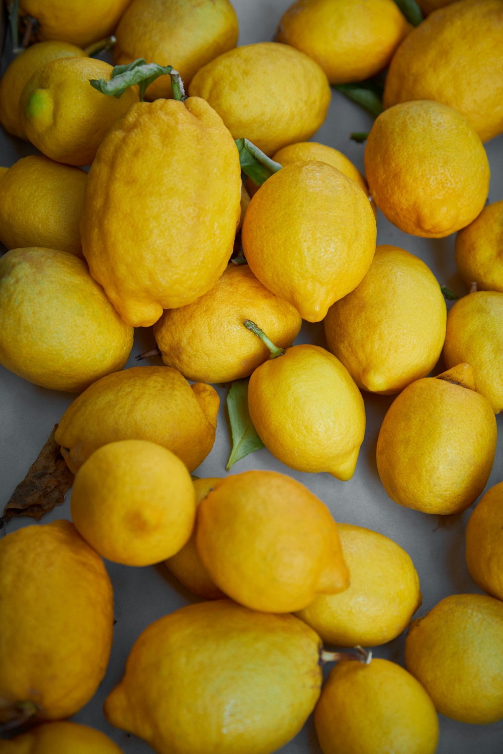 yellow lemon fruits on blue ceramic plate