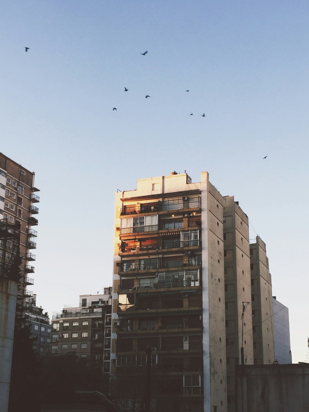 white and brown concrete building during daytime