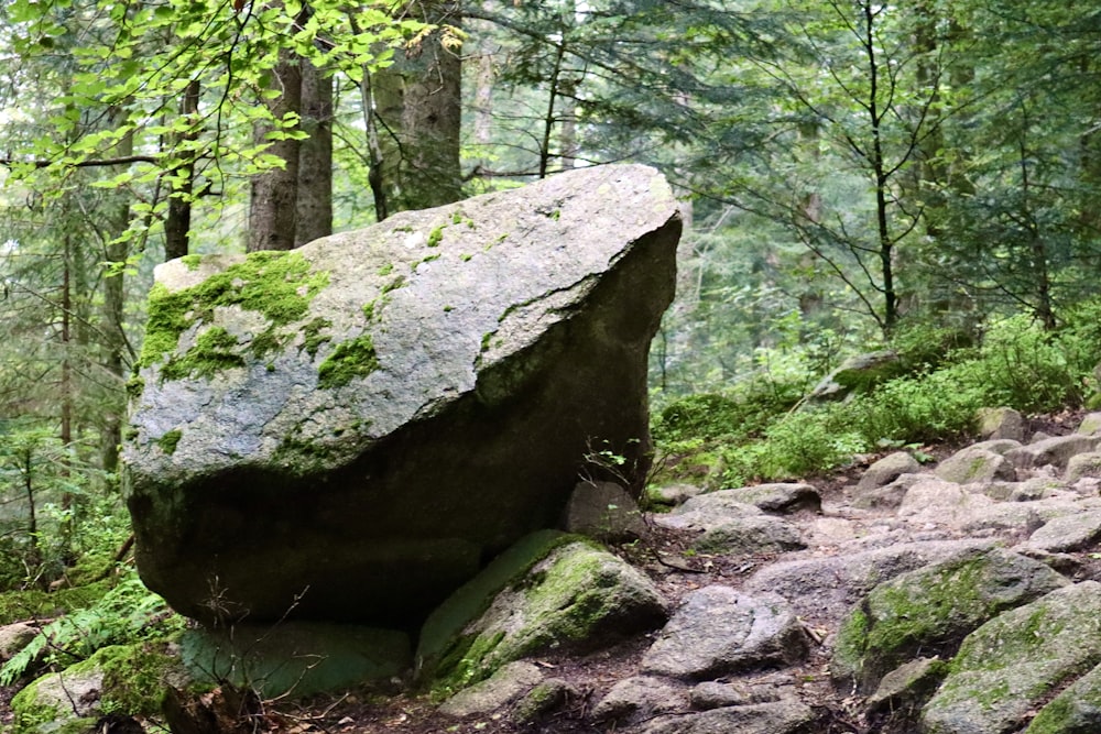 gray rock formation surrounded by green trees during daytime