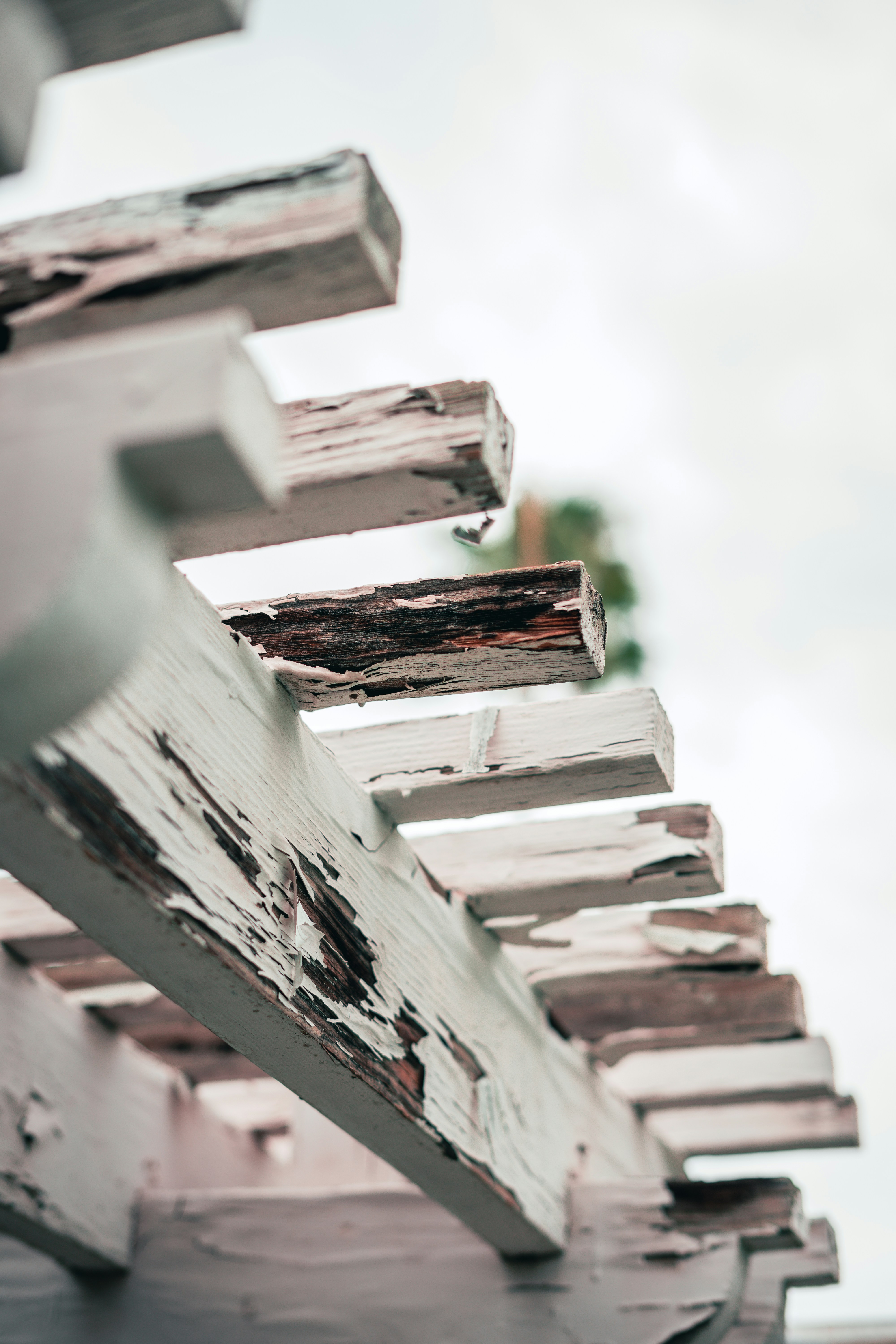 Photo by jeffersonsees