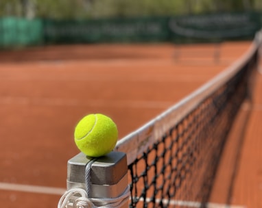 tennis ball on tennis court