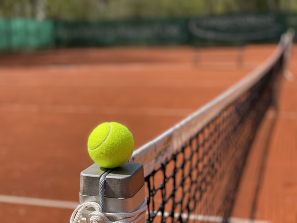 Tenis