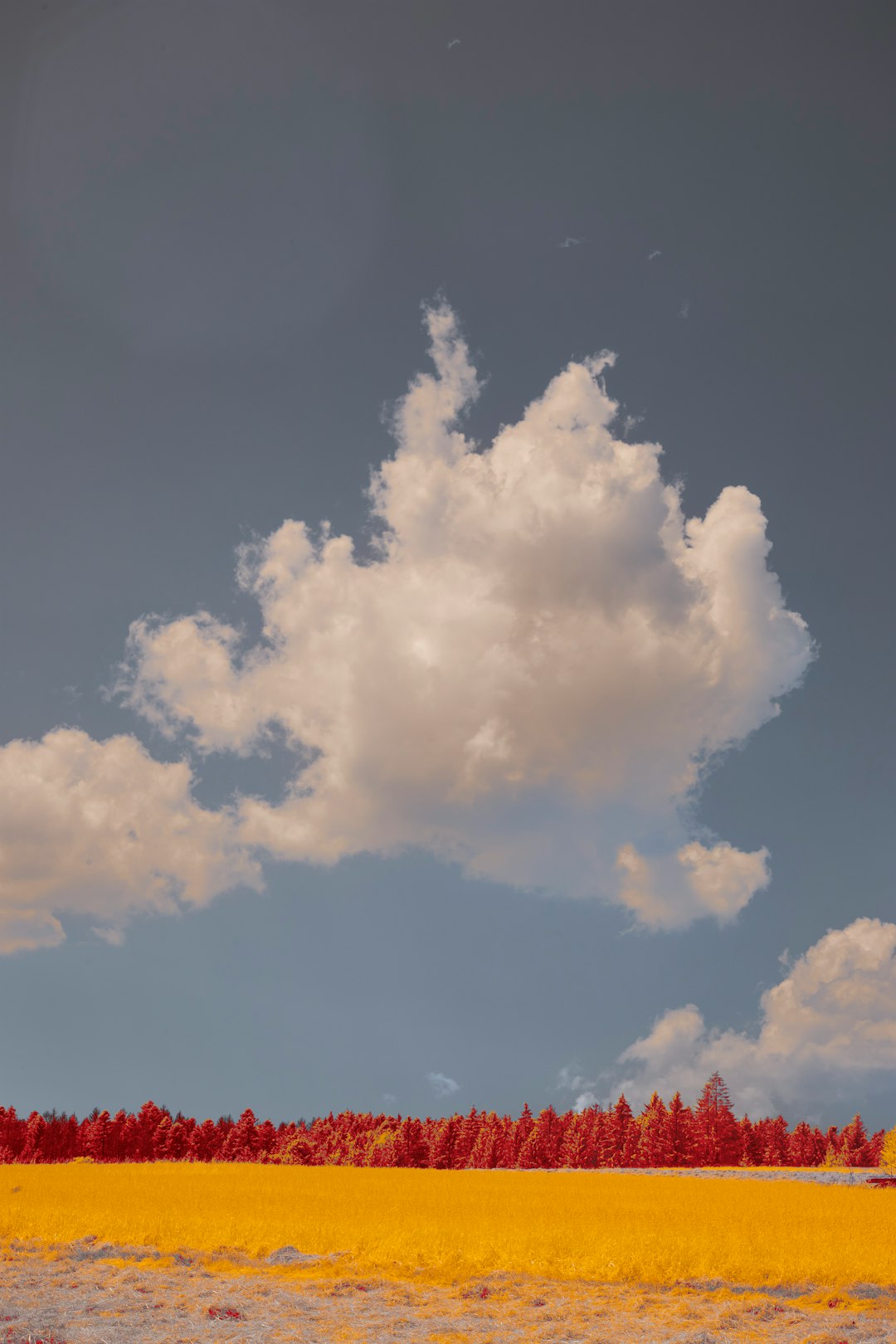 white clouds and blue sky during daytime