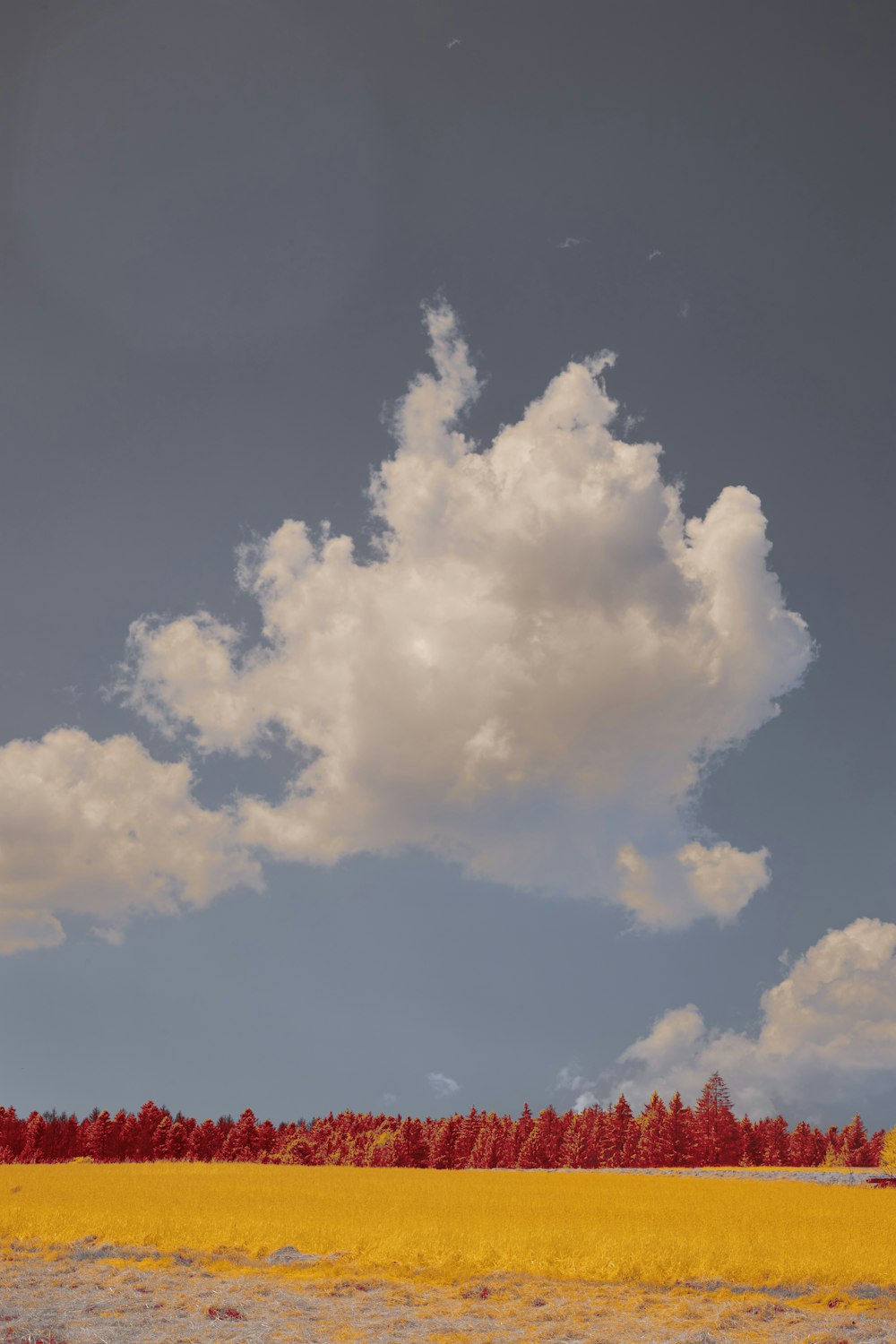 white clouds and blue sky during daytime