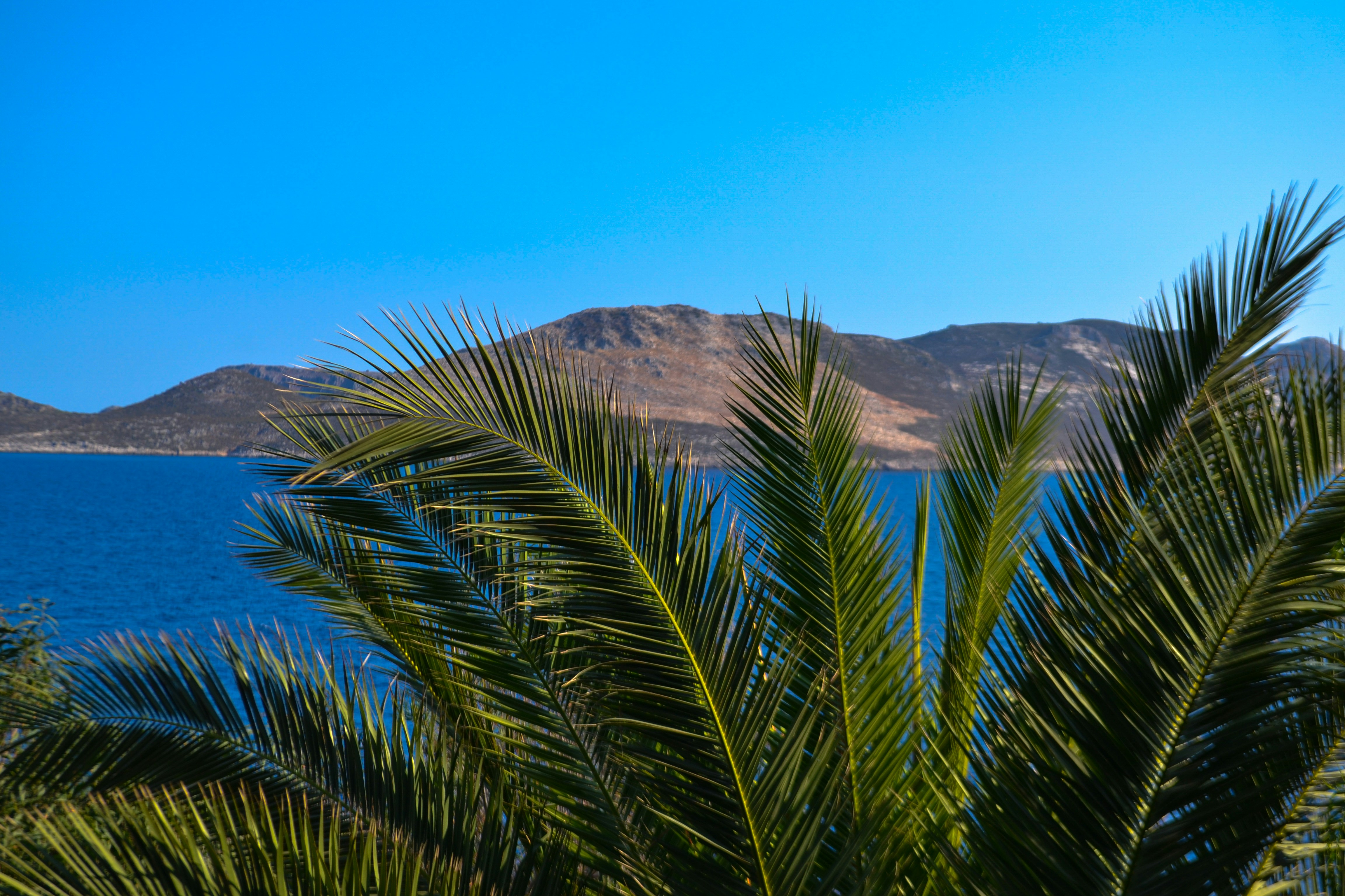 Photo by felixgething