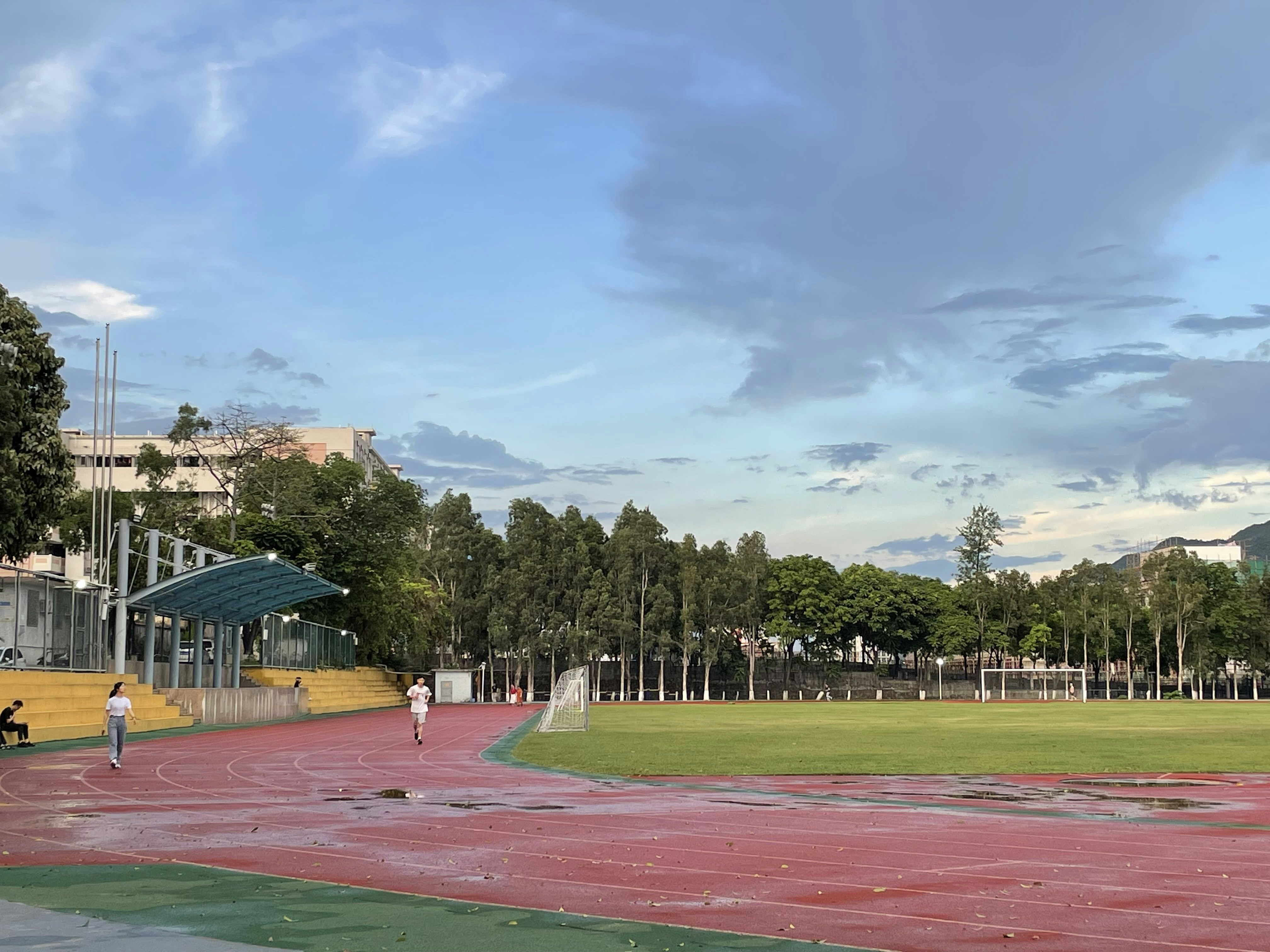 green grass field with trees under blue sky during daytime