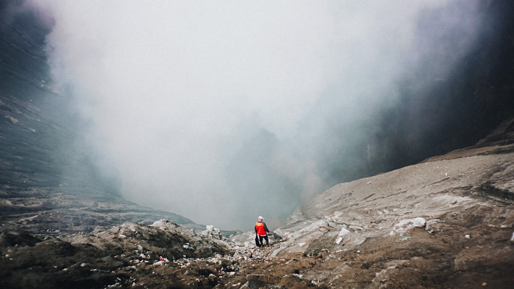 person in red jacket standing on brown rock mountain