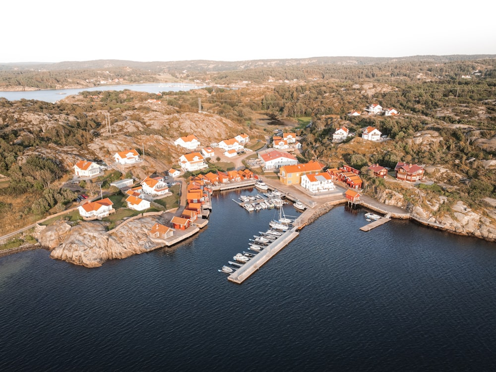 aerial view of city near body of water during daytime