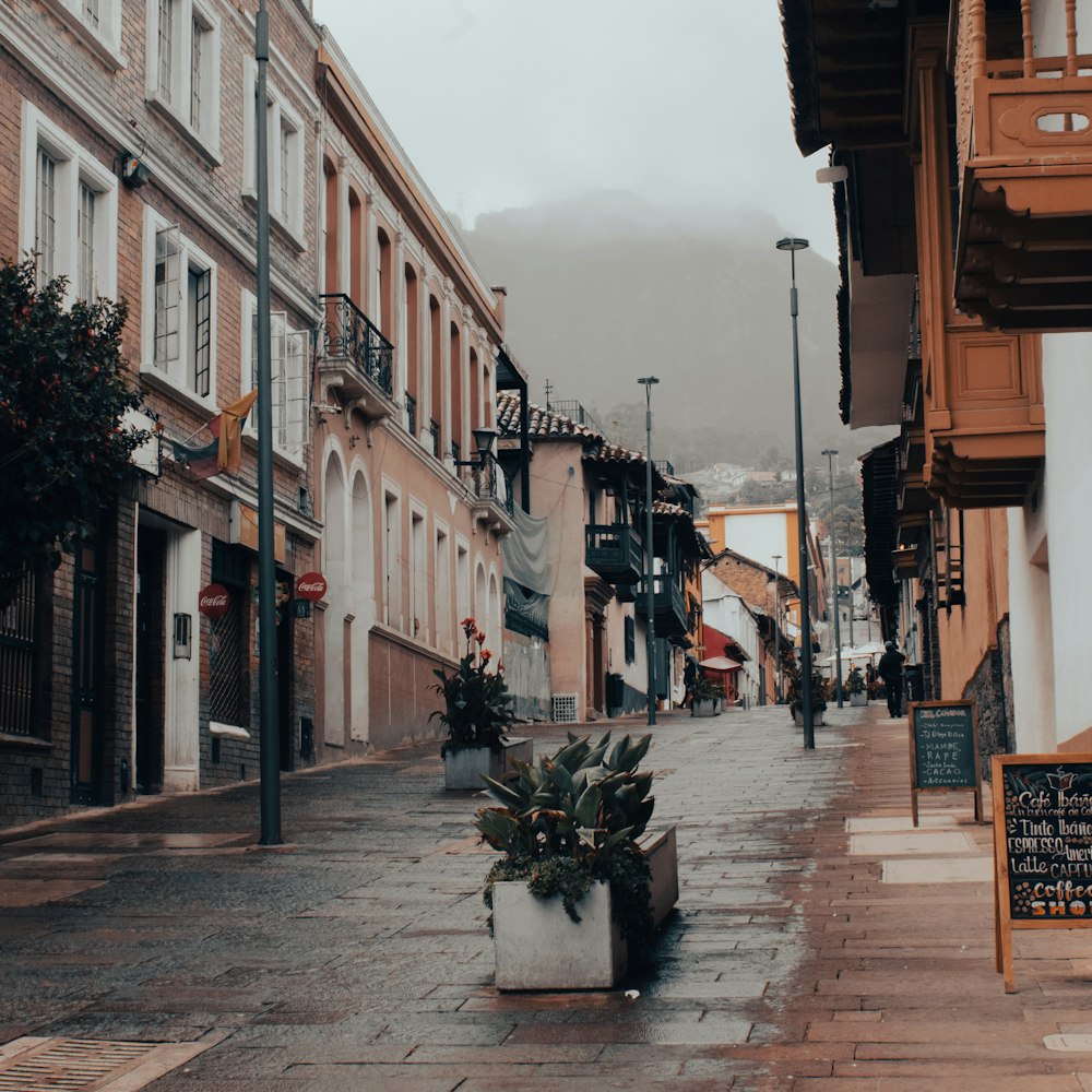 Edificios de hormigón marrón y blanco durante el día