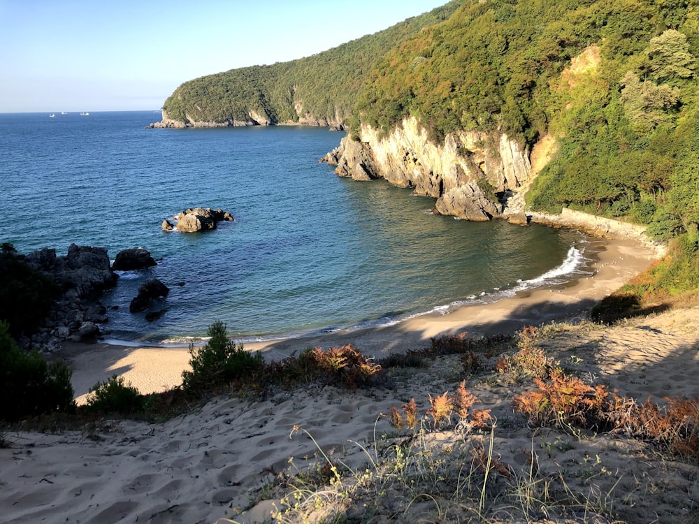 green and brown mountain beside blue sea during daytime