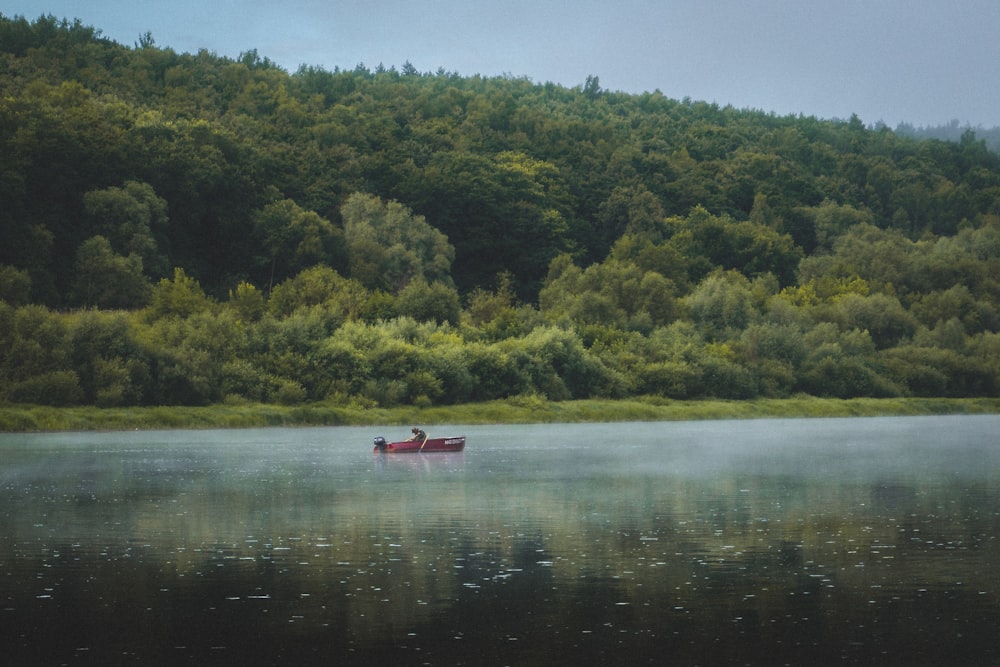 red boat on river near green trees during daytime