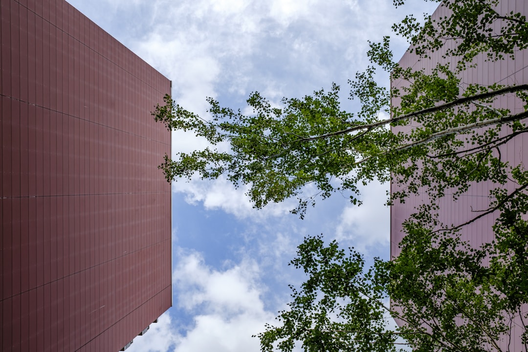 brown concrete building near green tree during daytime