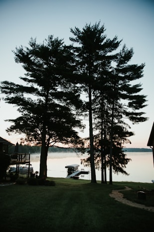 Muskoka lakefront cottage backyard with private dock and boat on a calm morning.