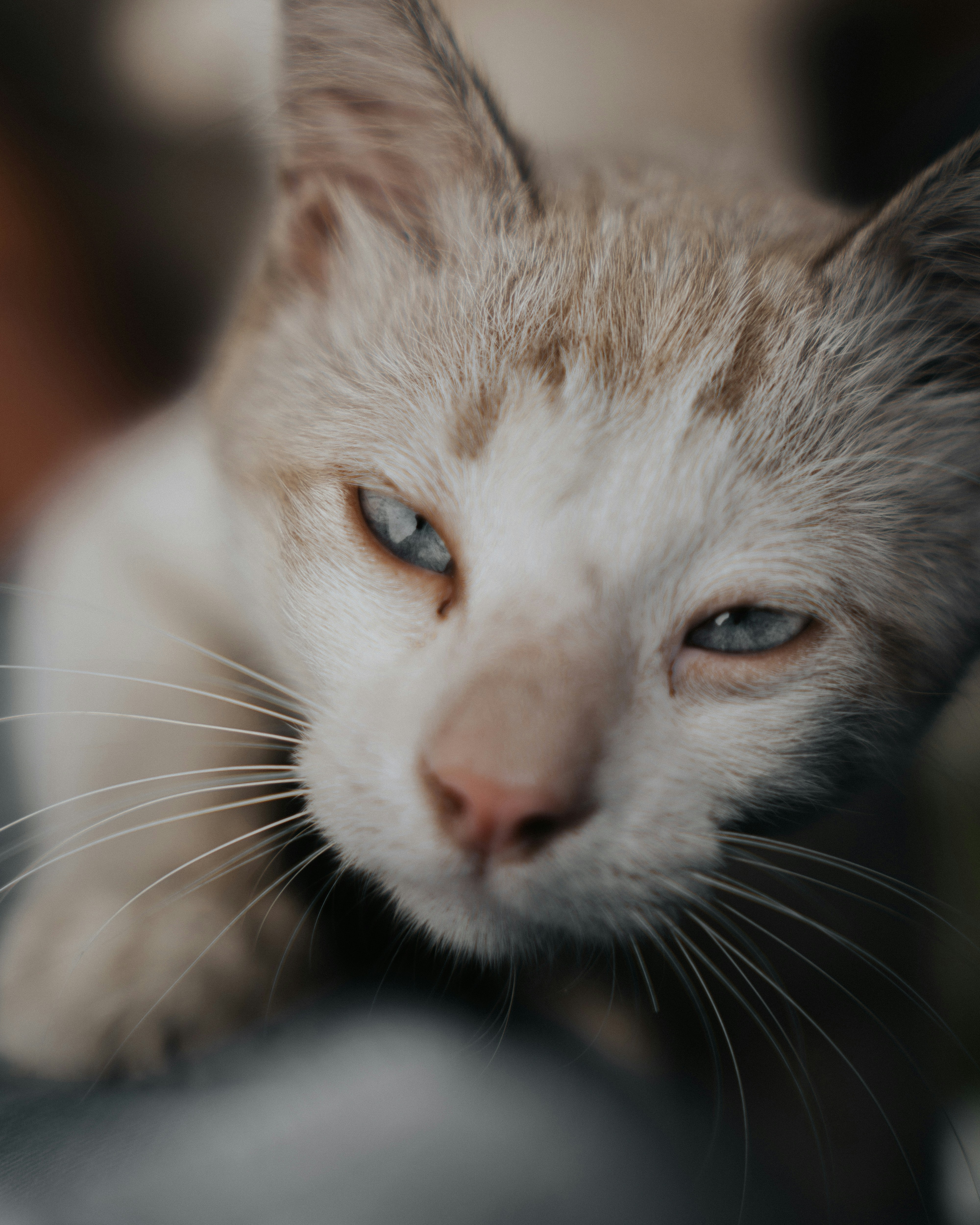 Photo by anoojfunaid