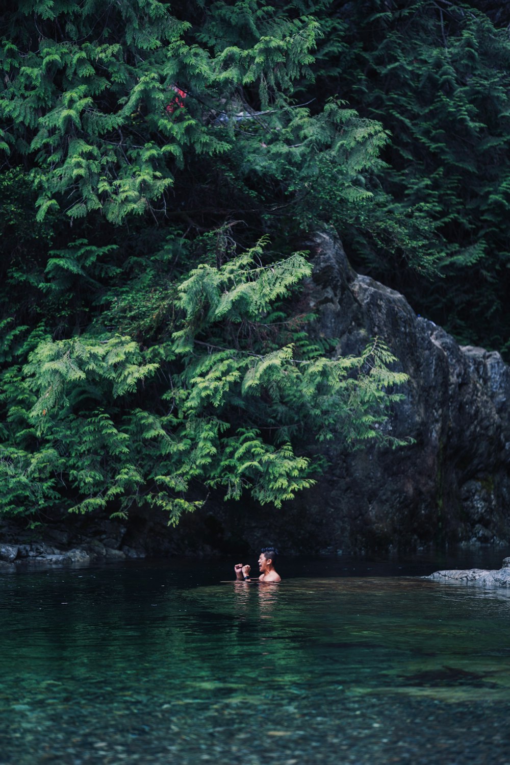 woman in body of water near green trees during daytime