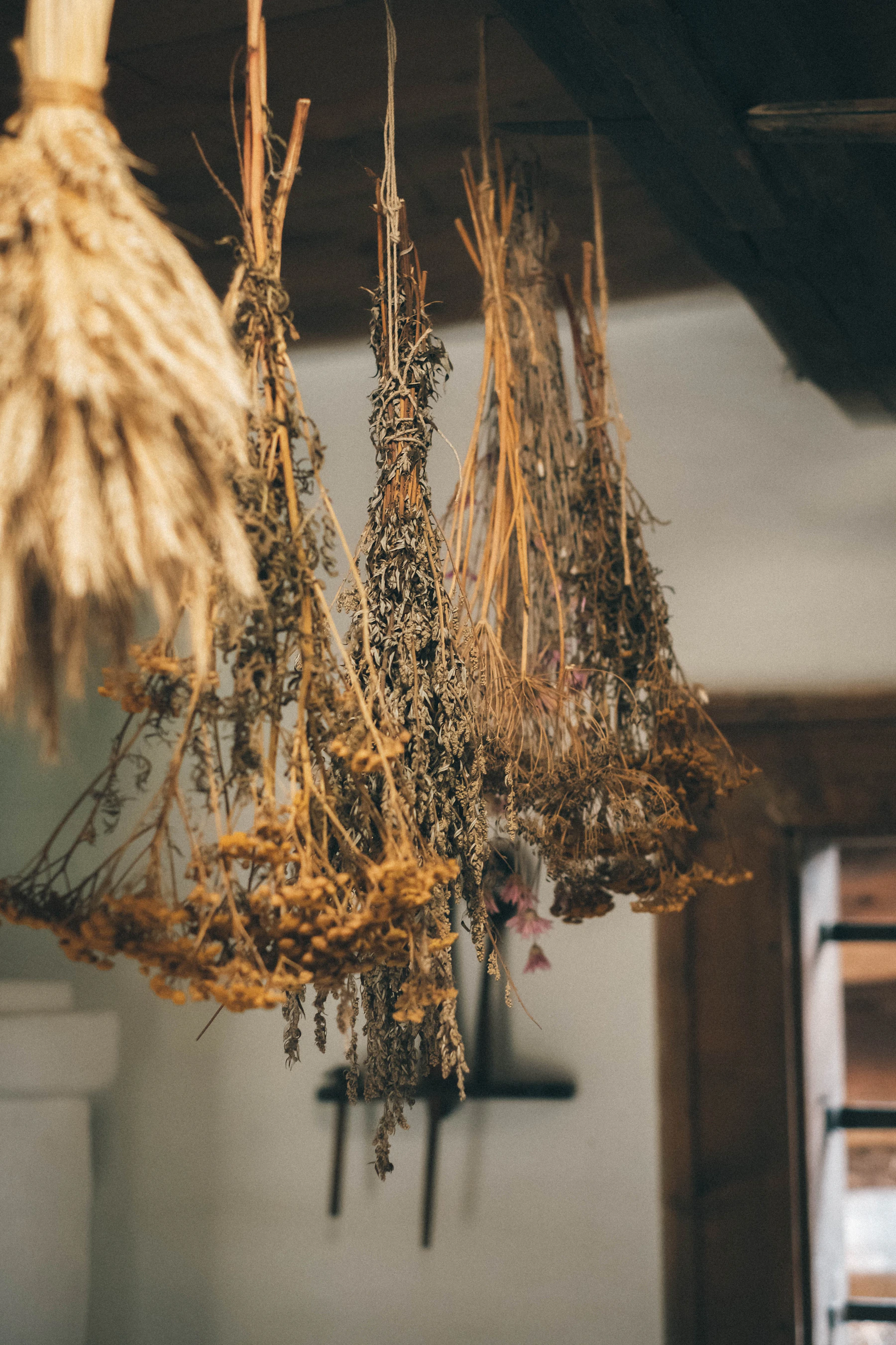 Bunches of flowers and a sheaf of grain tied and hung head down from a dark wooden ceiling beam