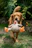 golden retriever puppy biting orange and white plush toy on green grass field during daytime