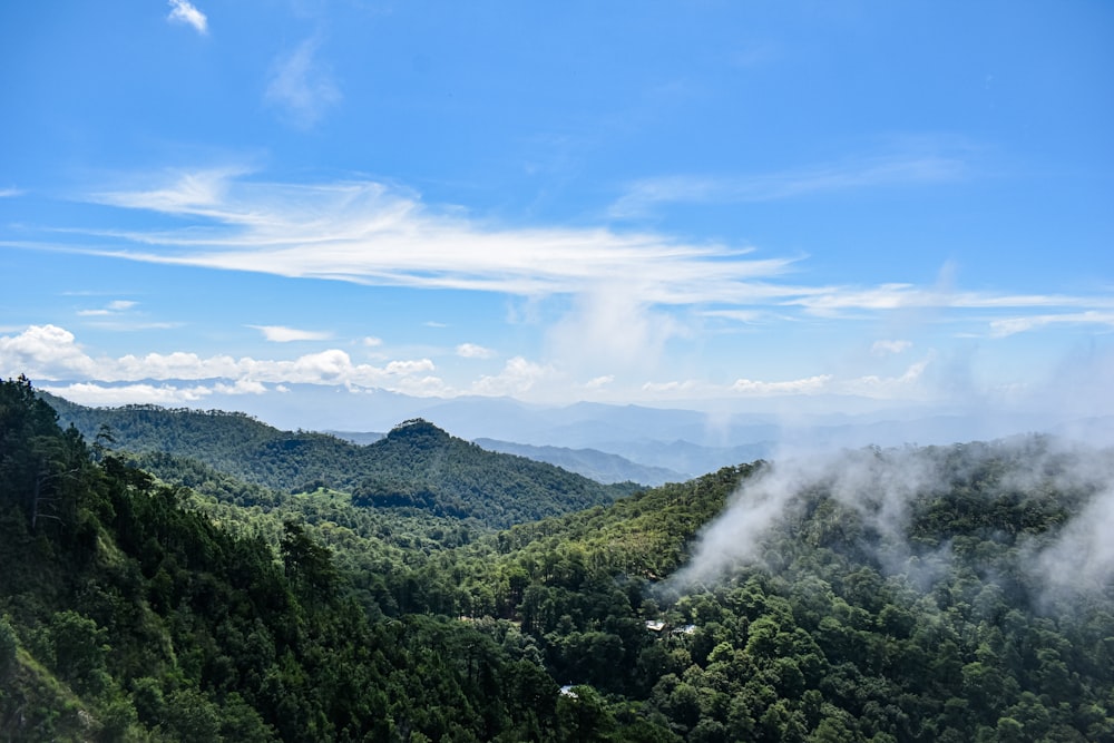 green trees on mountain under blue sky during daytime