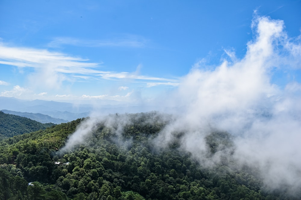 昼間の青空の下、山の緑の木々