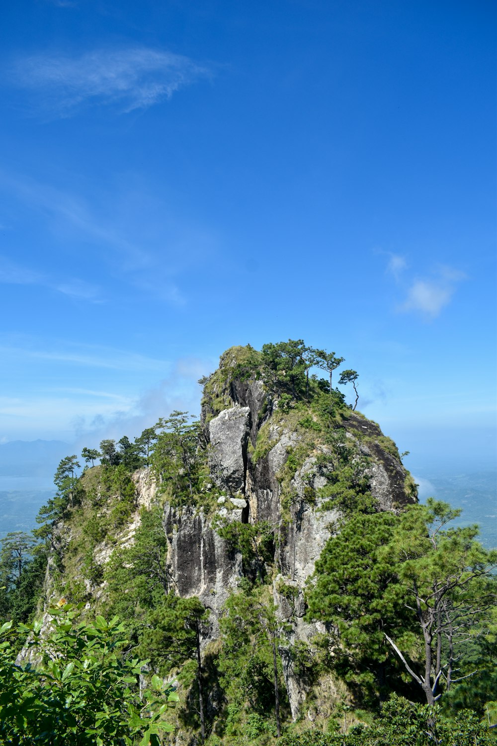 昼間の青空の下、灰色の岩山の緑の木々