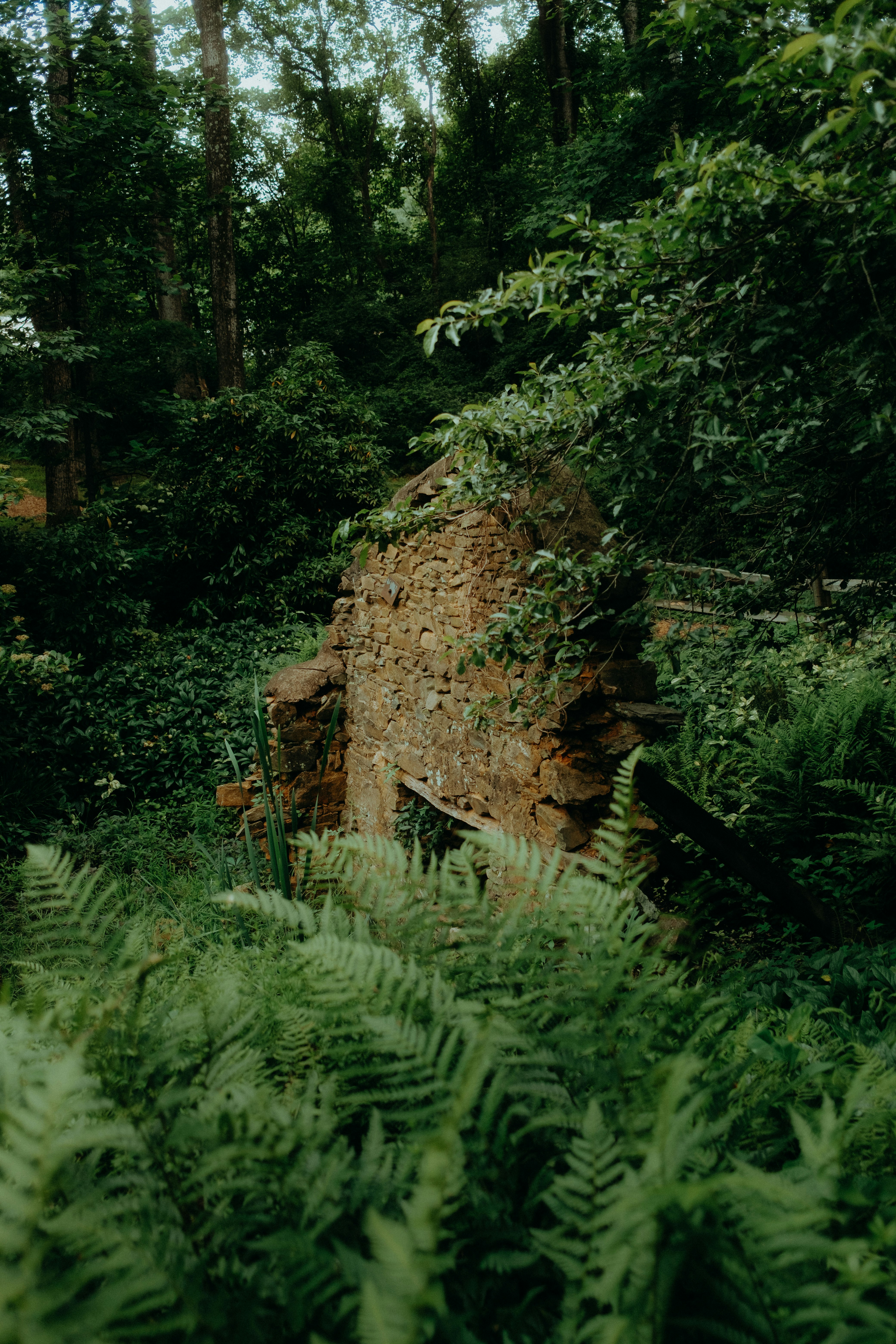 green grass and brown rock formation