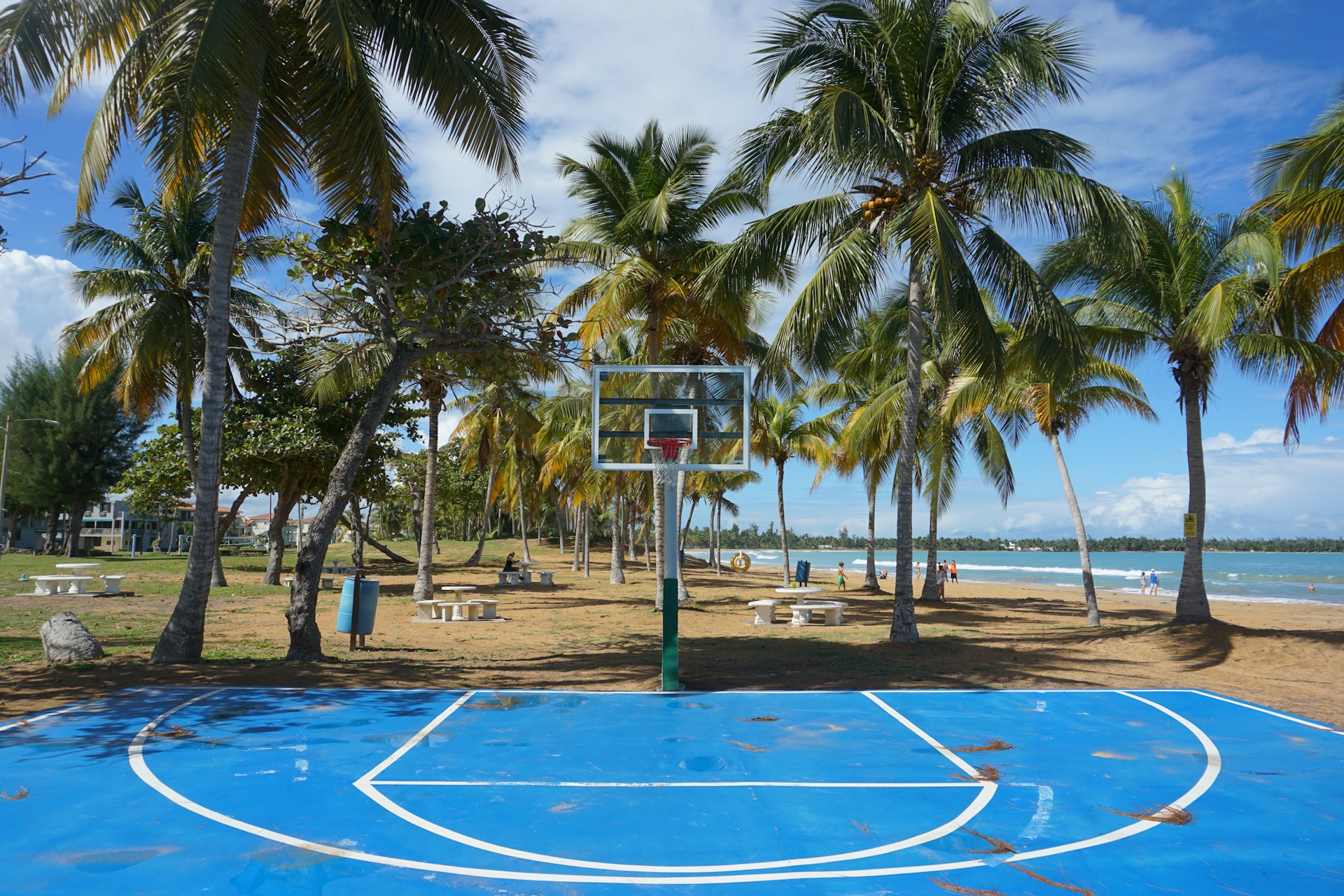 white and blue basketball hoop near palm trees during daytime
