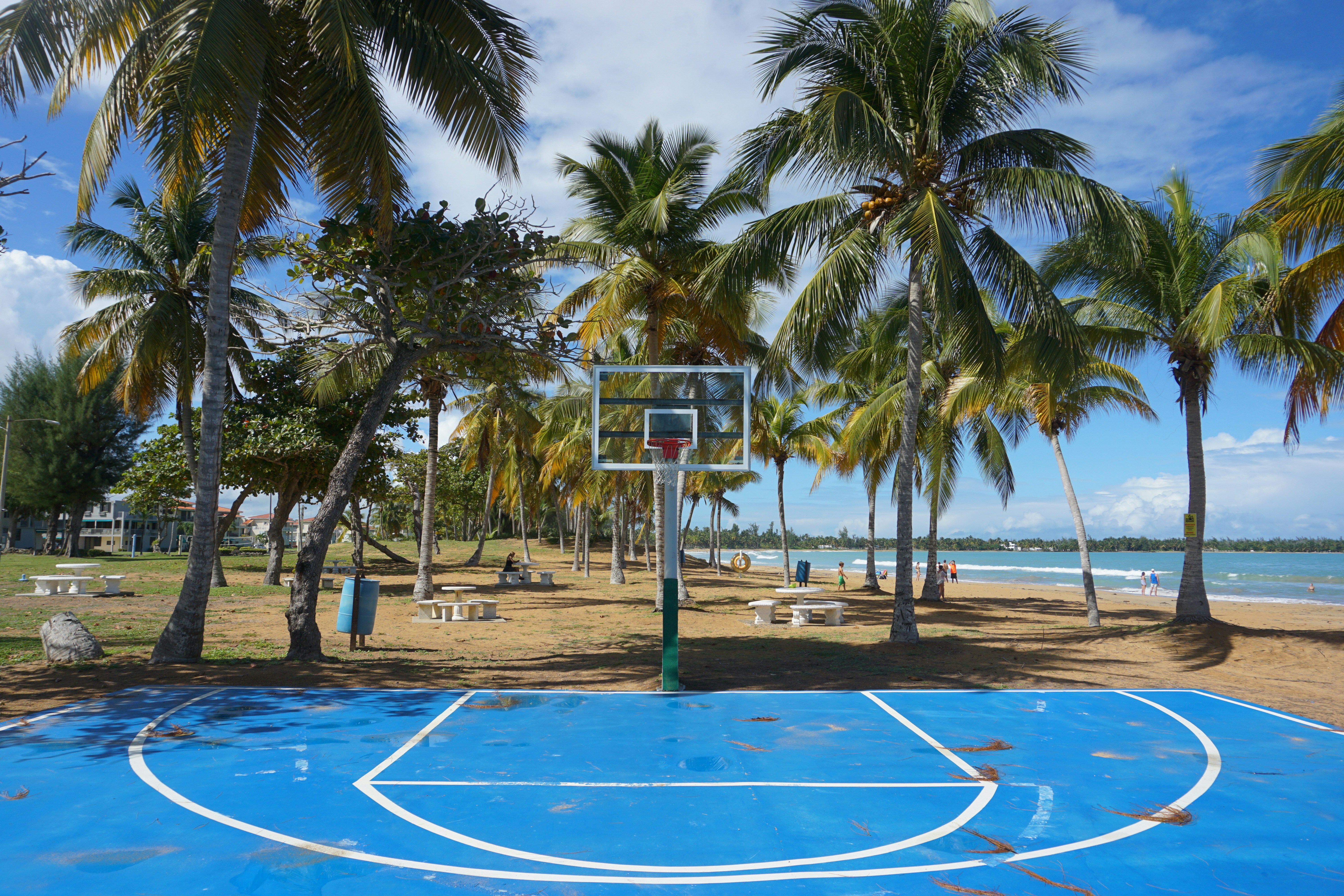 white and blue basketball hoop near palm trees during daytime
