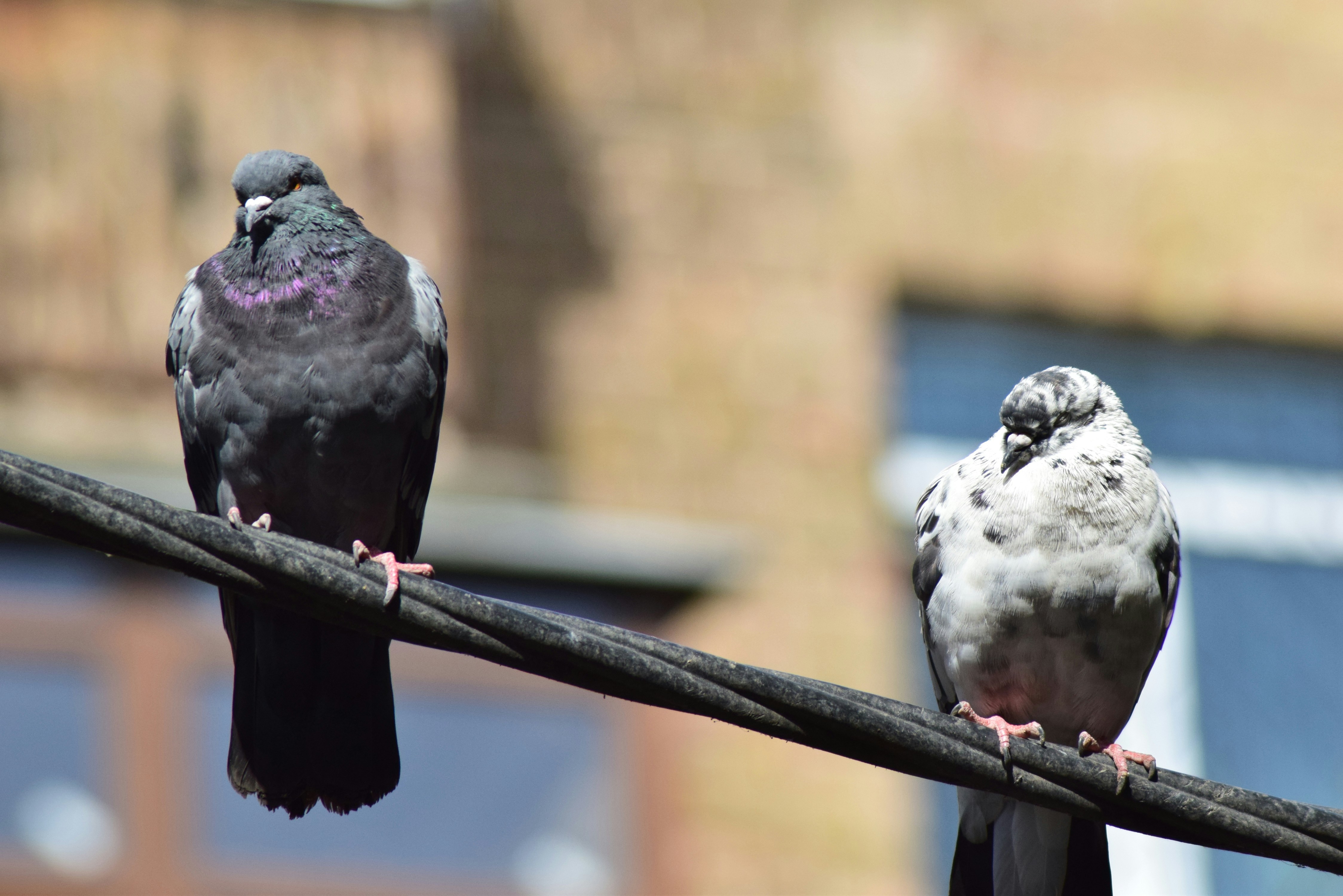 Photo by g3r4th3gr8t3st