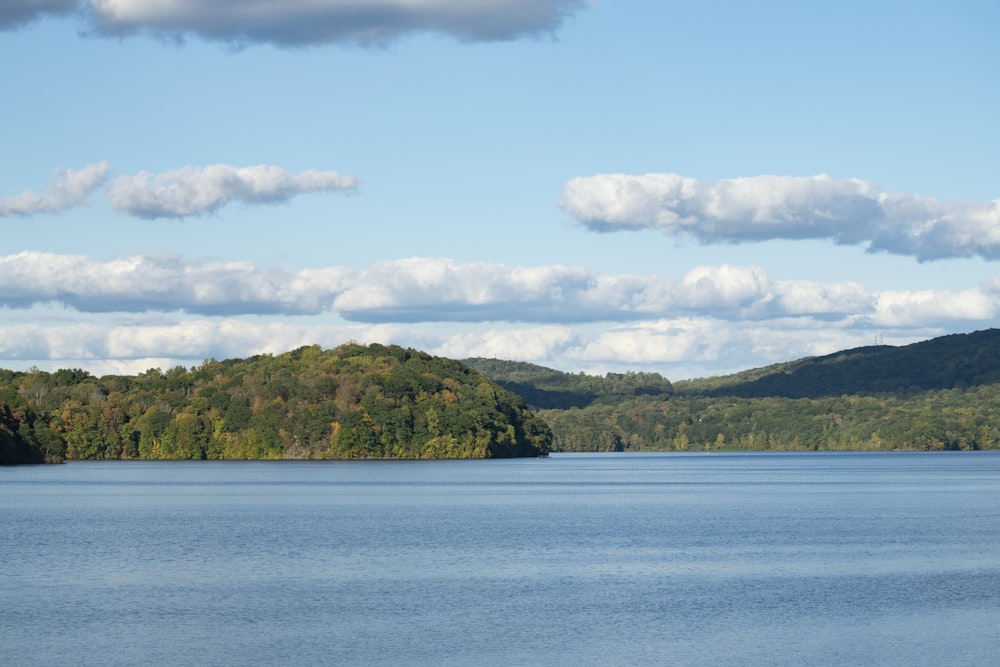 Grüne Bäume auf der Insel, umgeben von Wasser unter blauem Himmel und weißen Wolken während des Tages