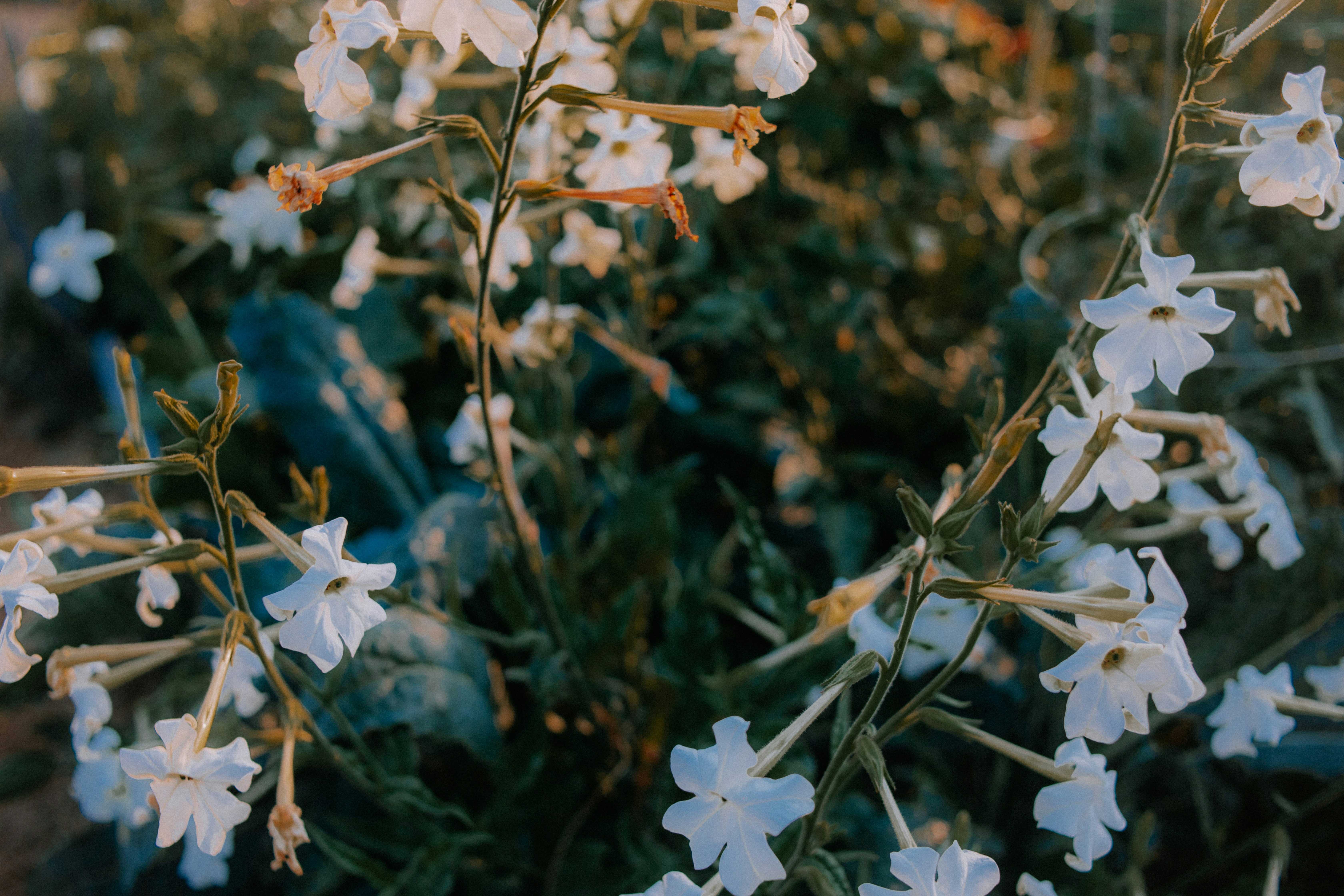 Photo by marsupialpudding