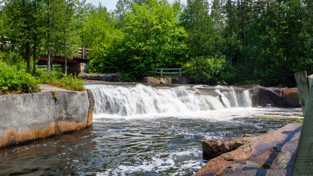 waterfalls near green trees during daytime