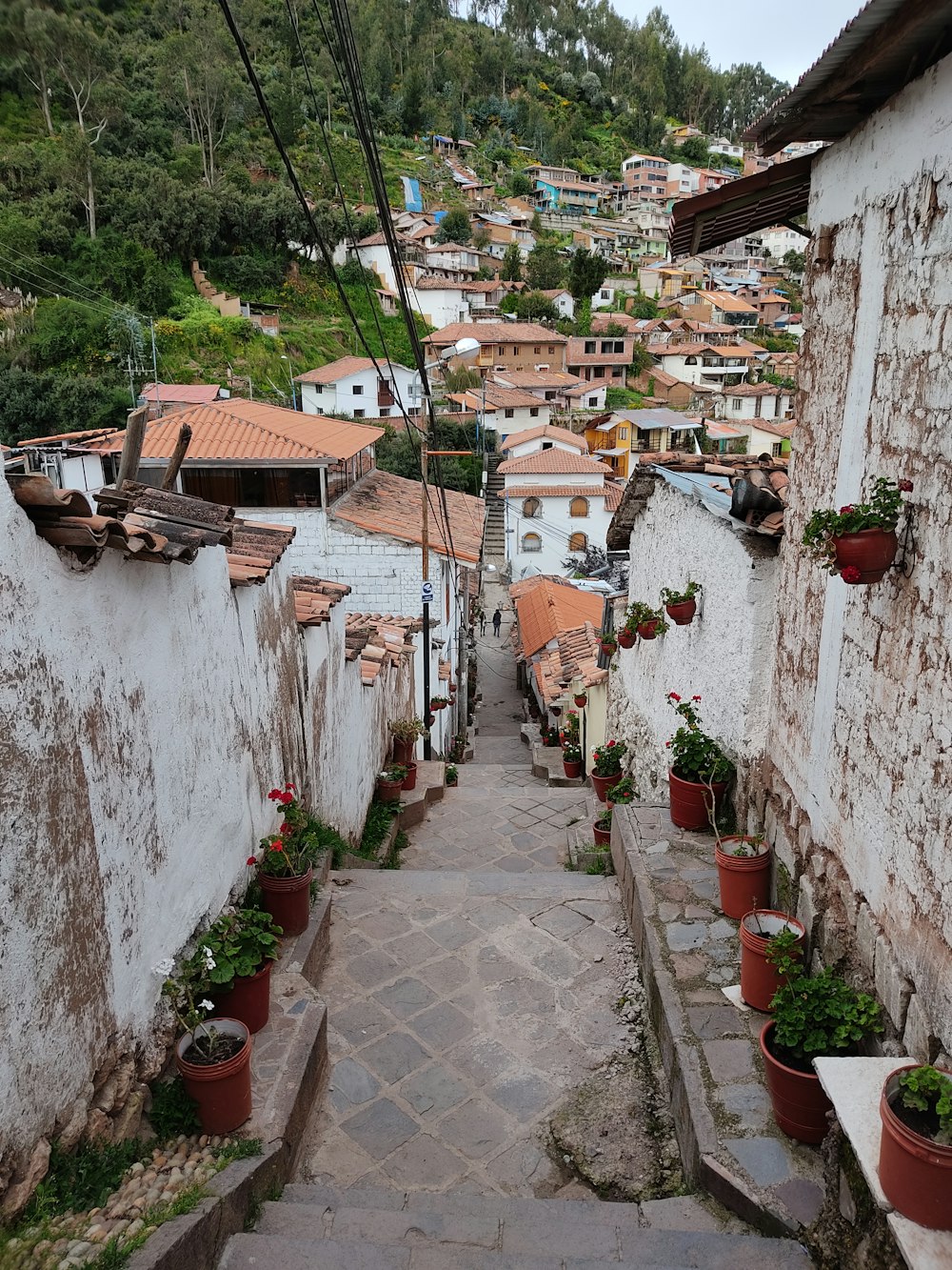 green plants on brown clay pots