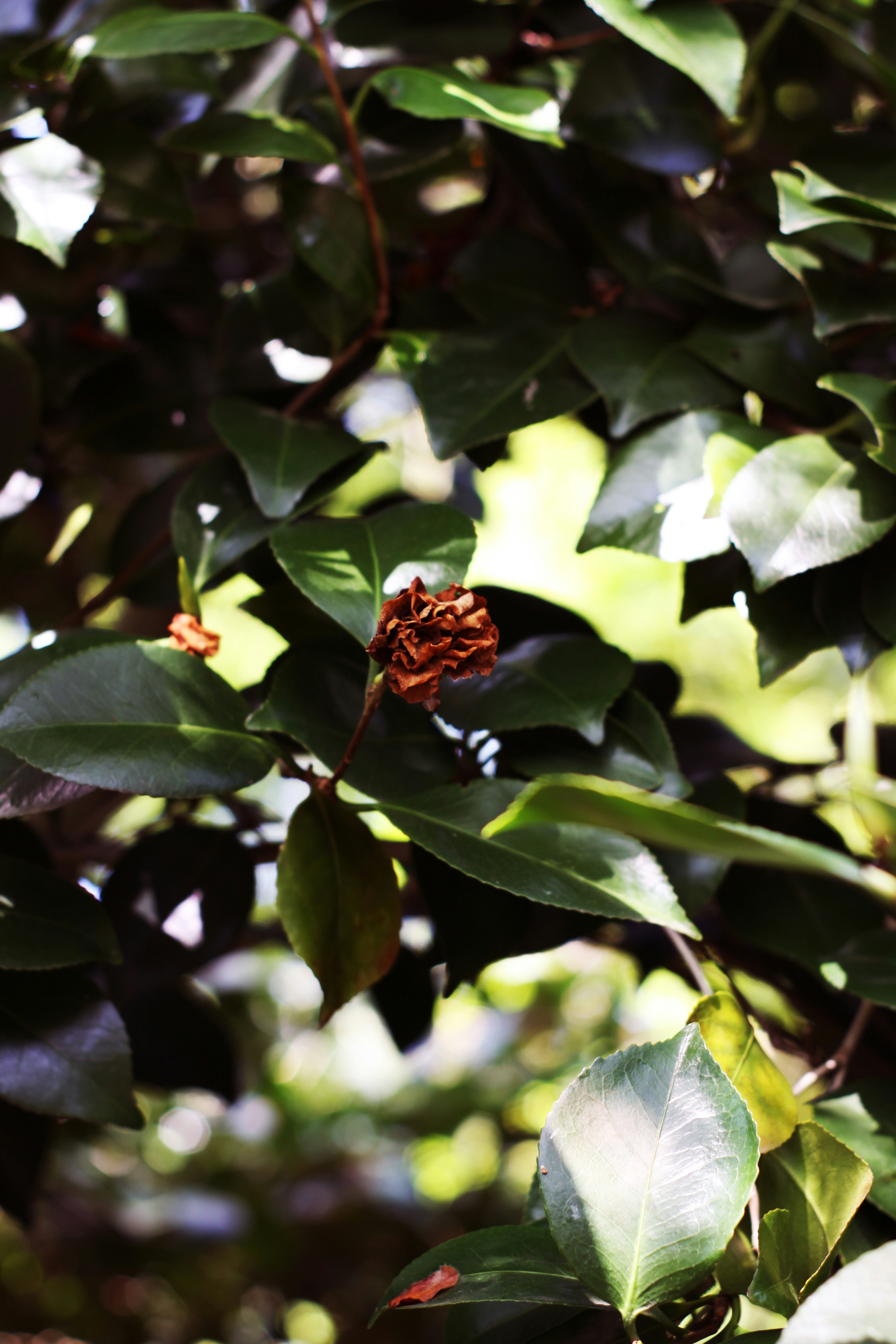Photo by seylhin