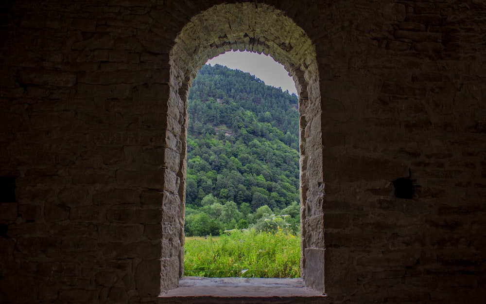 alberi verdi su muro di mattoni marroni