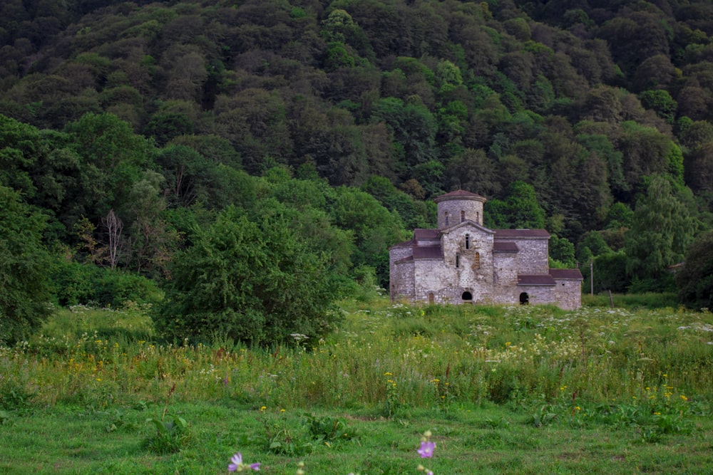 casa de hormigón gris en campo de hierba verde