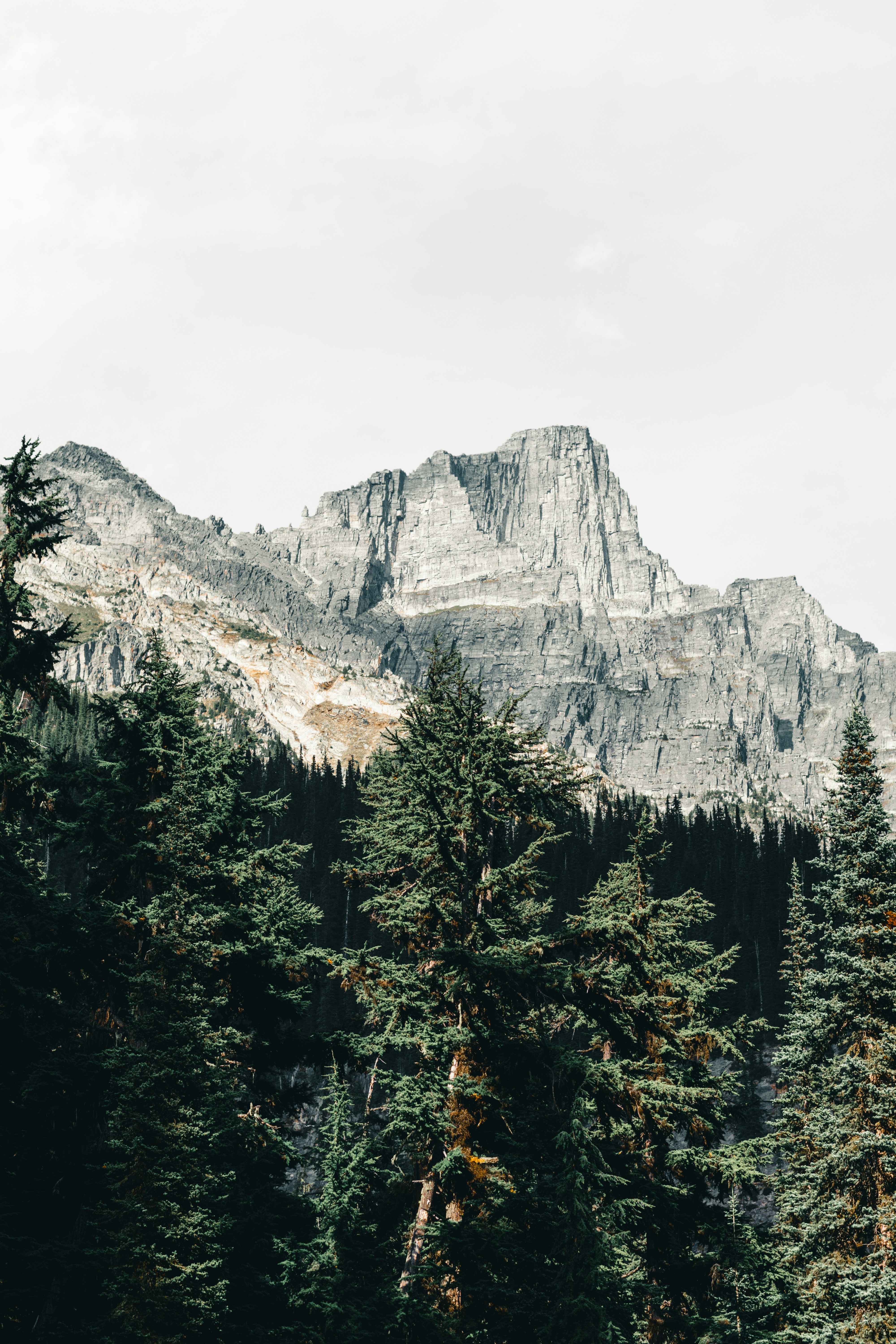 Photo by lureofadventure