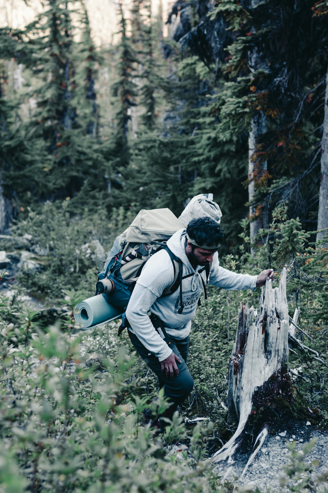 man in green jacket and blue denim jeans standing on tree log during daytime